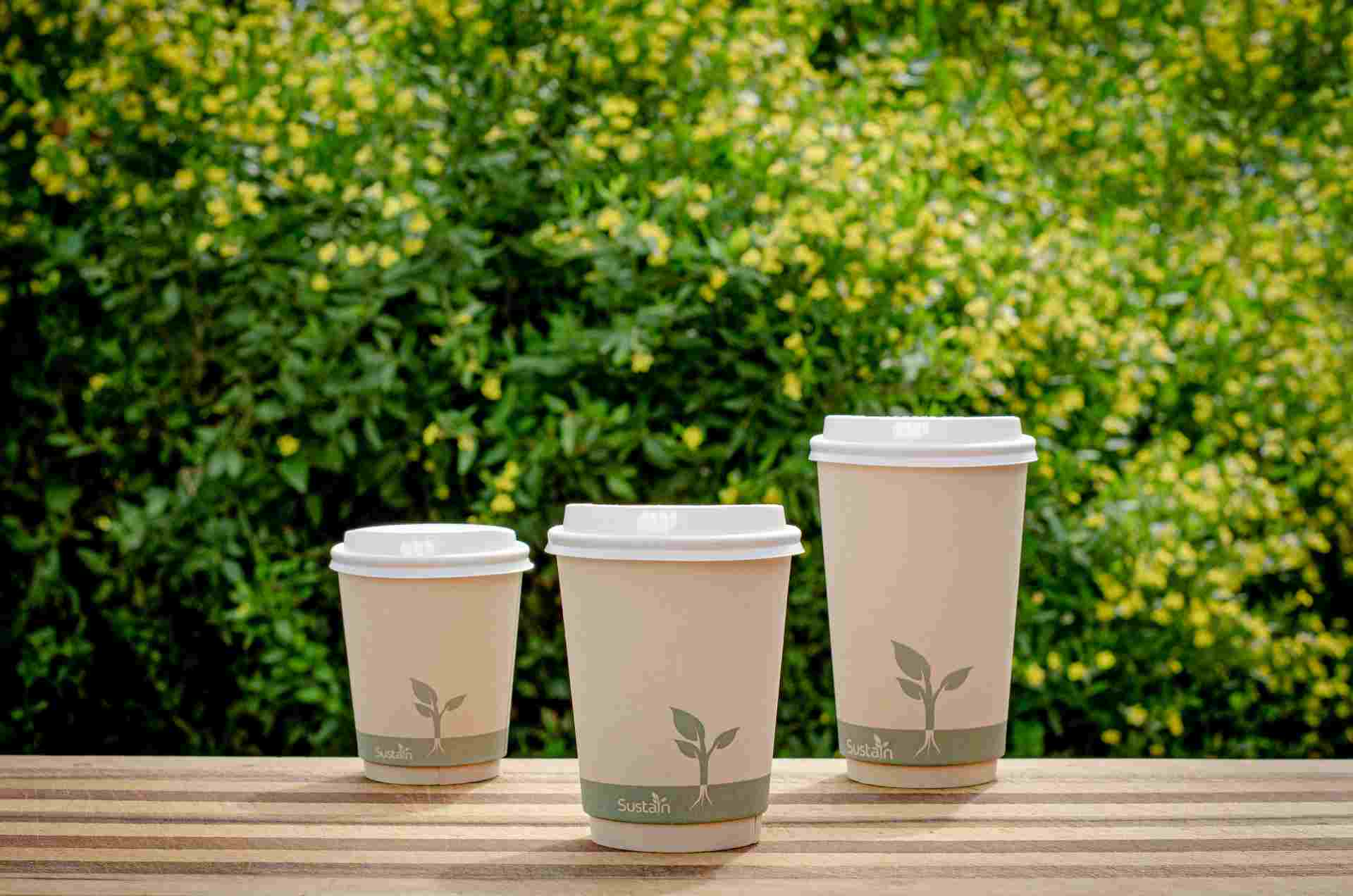 How To Choose the Right Paper Cup Size for Your Business