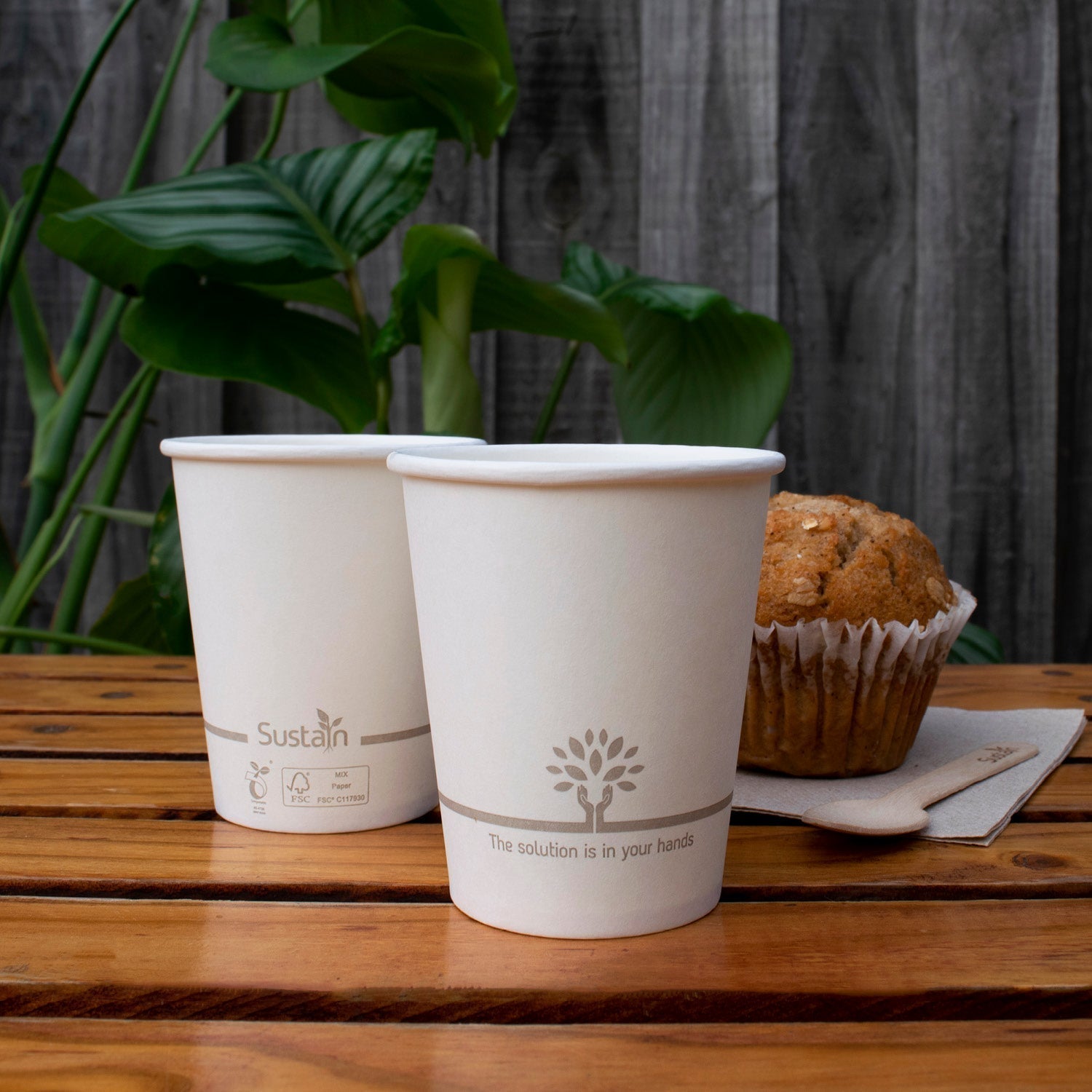 Sustain Sustain Hot Cup Single Wall Paper/BioPBS White 6oz - CT/1000 Disposable Food Packaging  