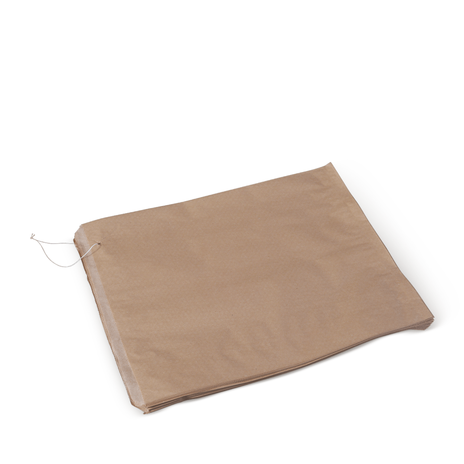 Detpak Detpak Flat Paper Bag Recycled Strung Brown #3 - PK/500 Disposable Food Packaging  